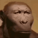 Emoji DumbCavemanMonkeyGIF