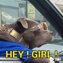 Emoji HappyHeyGirlGIFbyTikivideo