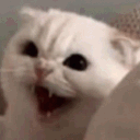 Emoji Anger4