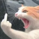 Emoji cat_fuck