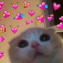 Emoji cattolobyucat