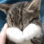 Emoji kit_ohno