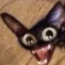 Emoji hahahahahhaha