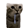 Emoji emoji_27