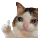 Emoji Sad_Cat_Thumbs_Up