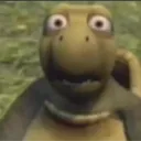 Emoji 992386shockedturtle