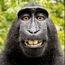 Emoji emoji_100