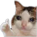 Emoji cat_nice