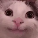 Emoji L_catsmile
