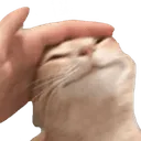 Emoji L_catgoodboy