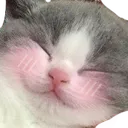 Emoji CatBlush