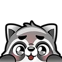 Emoji Raccoon_Hi