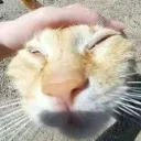 Emoji xCaGQn4_400x400