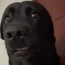Emoji emoji_13