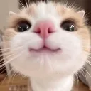 Emoji emoji_14
