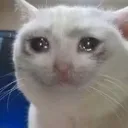 Emoji emoji_18