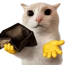 Emoji 955071poorcat