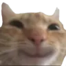 Emoji 39143catsmile