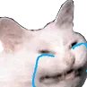 Emoji 97148kittysad