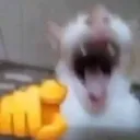 Emoji 50009catlaughing