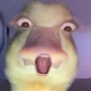 Emoji emoji_40