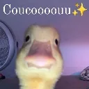 Emoji cc