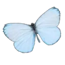 Emoji Icon_BlueButterfly