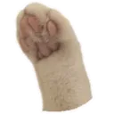 Emoji 993_moospaw