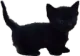 Emoji Black_Cat2