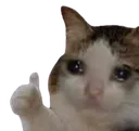 Emoji okcool