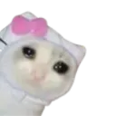 Emoji 909I4crycat