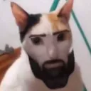 Emoji 985675wtf_cest_quoi_sa