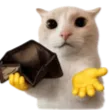 Emoji 955071poorcat