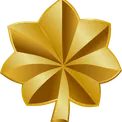 Emoji major