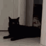 Emoji stolcat