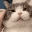 Emoji cat_rub
