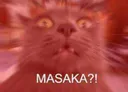 Emoji Masaka_neko