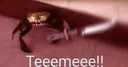 Emoji Temee