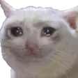 Emoji sad