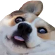 Emoji nonii