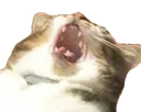 Emoji osekour