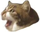 Emoji plz
