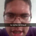 Emoji lavache
