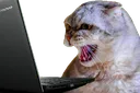 Emoji catfuckoff