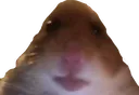 Emoji Hamster1