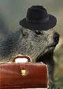 Emoji Marmottecontrleurdesimpts