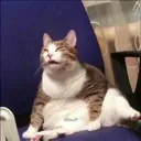 Emoji noon