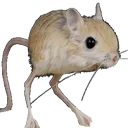 Emoji souris