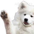 Emoji latpatpat