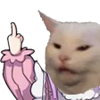 Emoji catfok